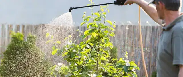 Technician treating shrubs and eave line where wasps nest