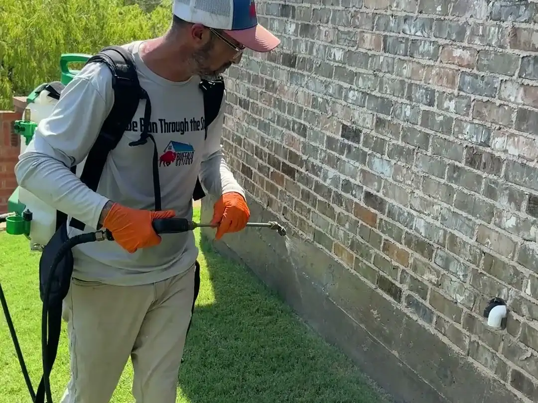 Buffalo Outdoor technician treating a yard boundary strip