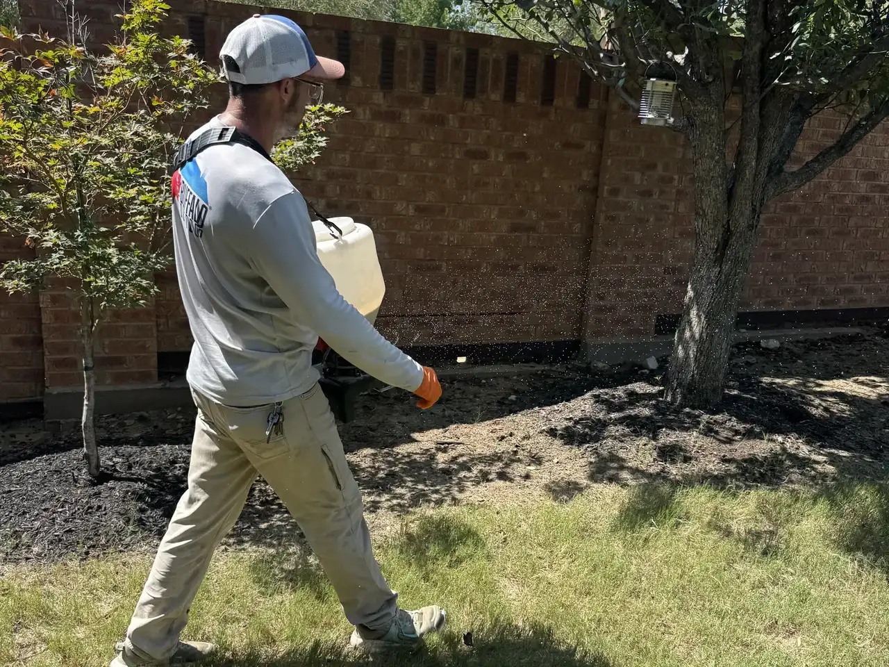 Buffalo Outdoor technician treating a lawn with a backpack sprayer