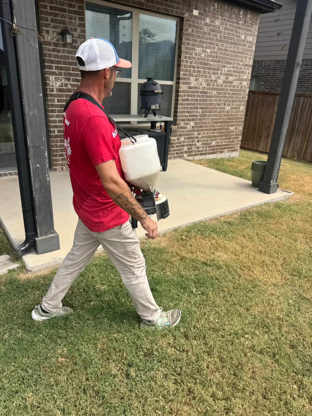 Technician applying granular lawn insecticide with a chest spreader