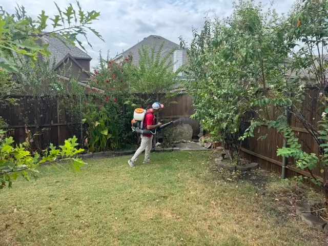 Buffalo Outdoor flea and tick control in Benbrook, TX